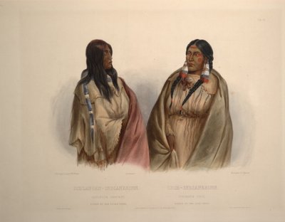 Frau des Schlangenstammes und Frau des Cree-Stammes von Karl Bodmer